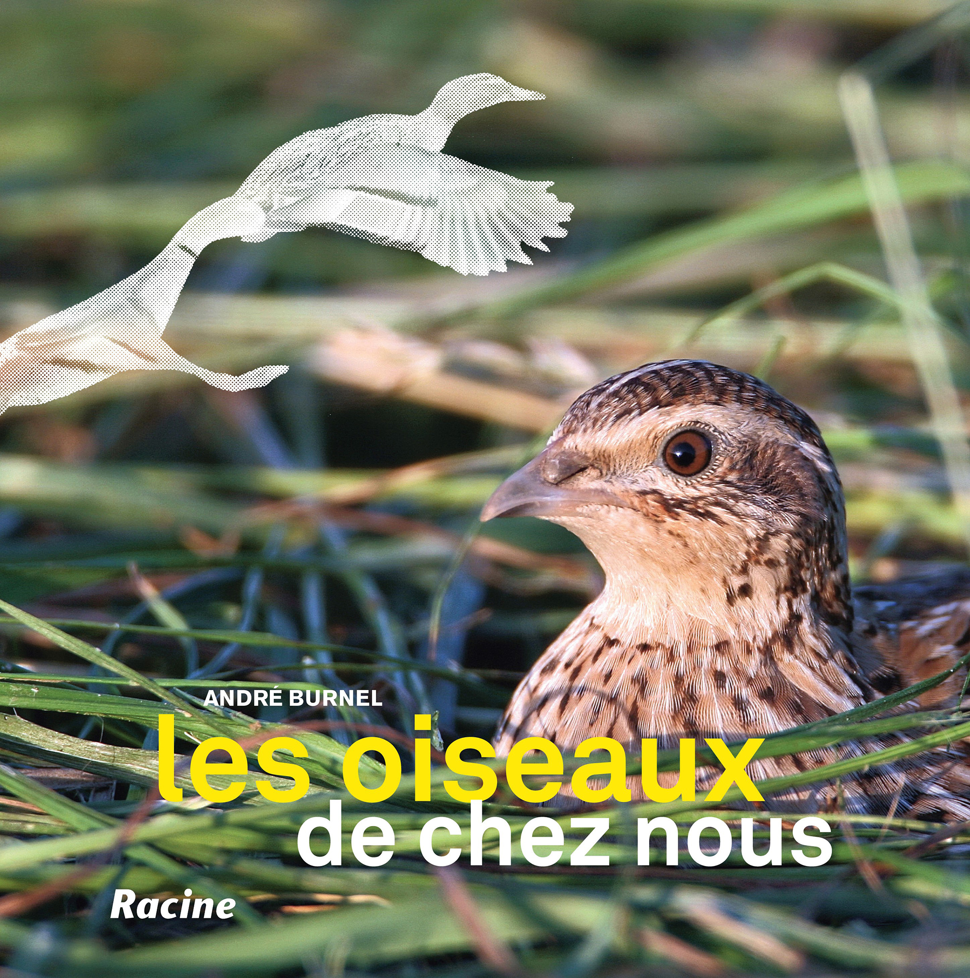  Manuel Complet Nourrir les Oiseaux: 9782803450756