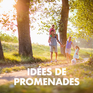 Idées de promenades